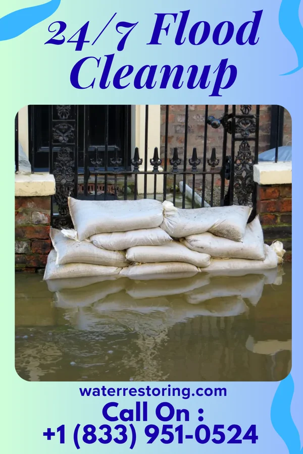 24/7 Flood Cleanup in Forest Hills, NC