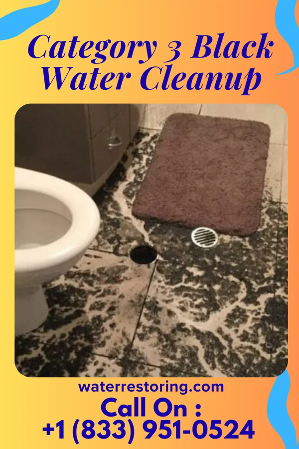 Category 3 Black Water Cleanup in Forest Hills, NC