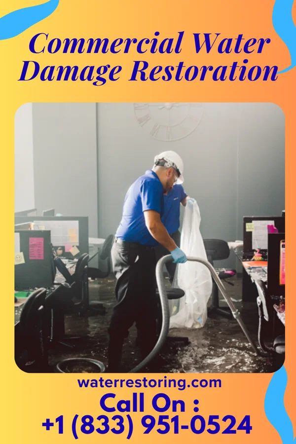 Commercial Water Damage Restoration in Forest Hills, NC