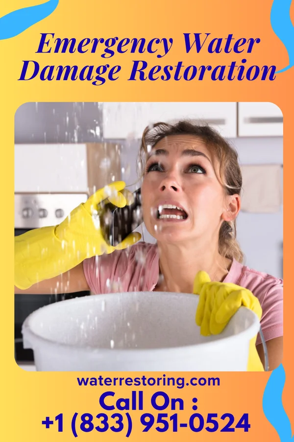 Emergency Water Damage Restoration in Forest Hills, NC