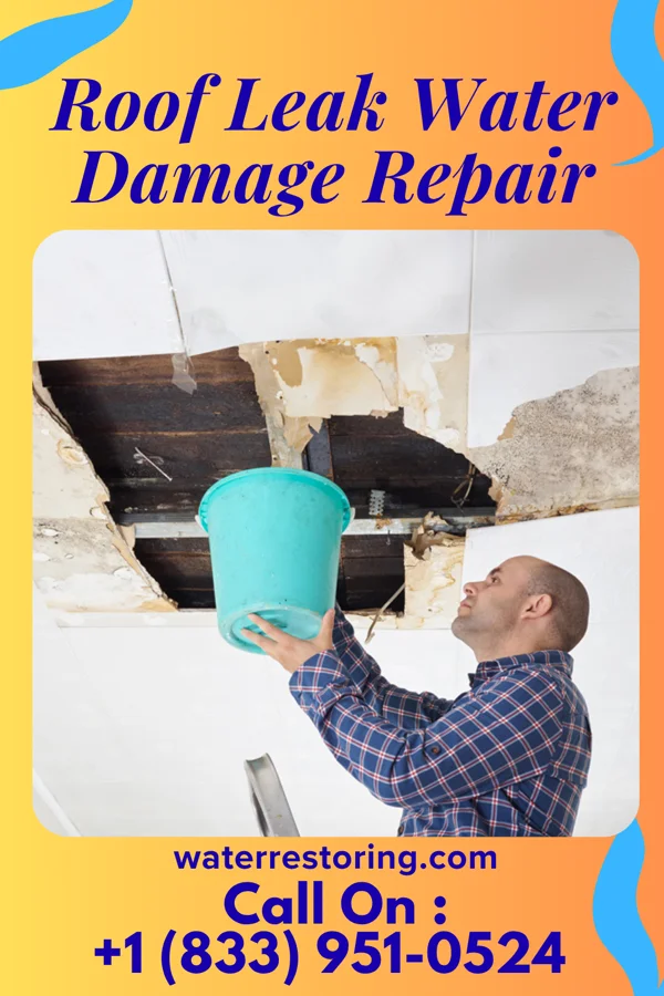 Roof Leak Water Damage Repair in Forest Hills, NC